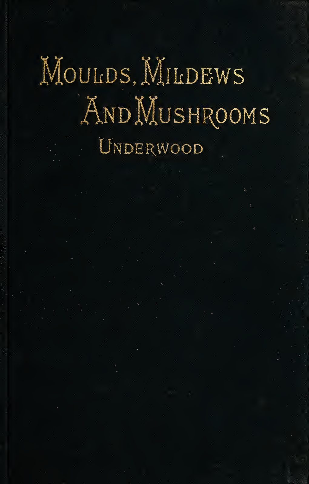 First page of the document scan