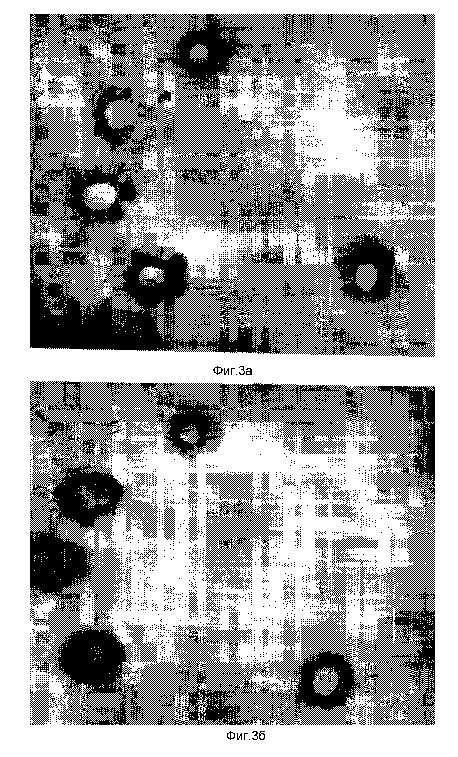 2141357b.jpg