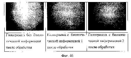 2239d.jpg