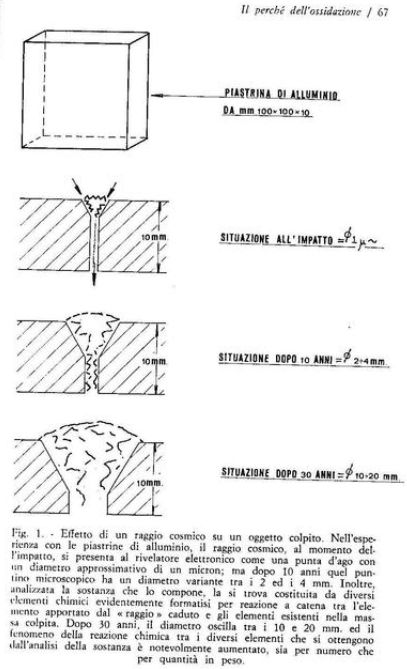 Fig1.jpg