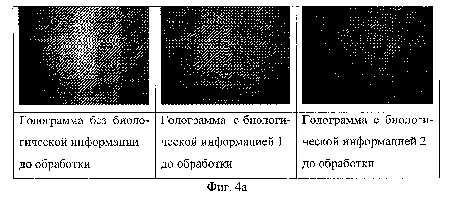 2239c.jpg