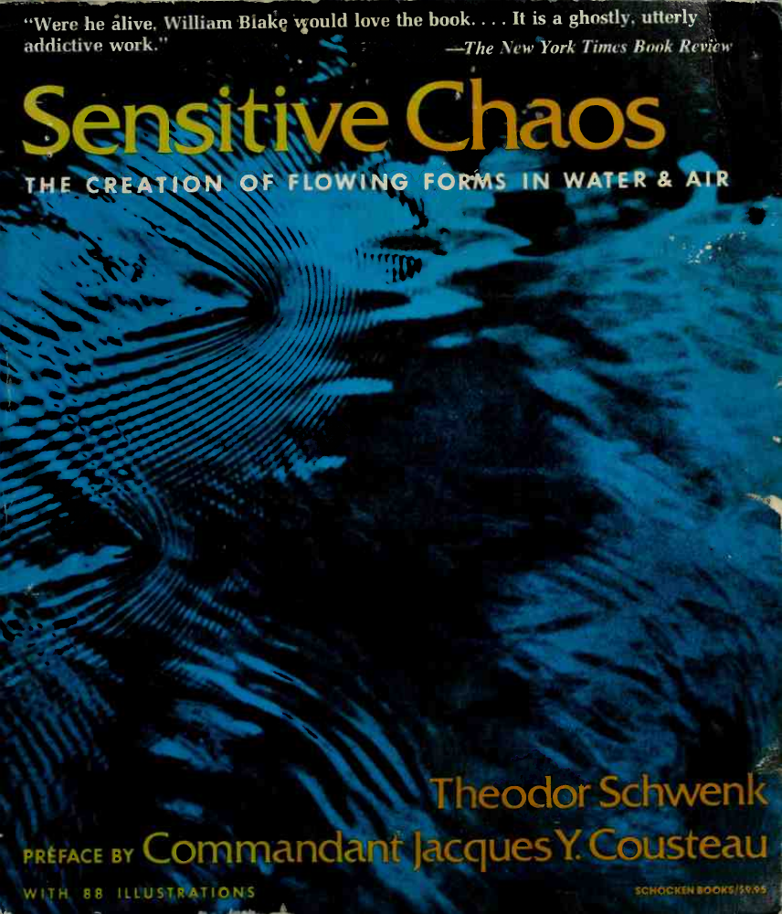 Sensitive Chaos: cover of the captured edition